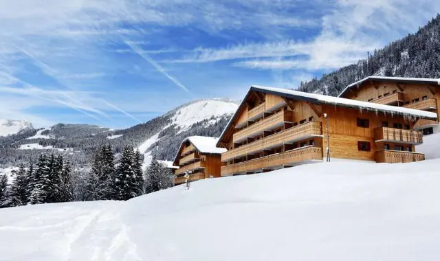 Résidence Le Grand Lodge pod snegom